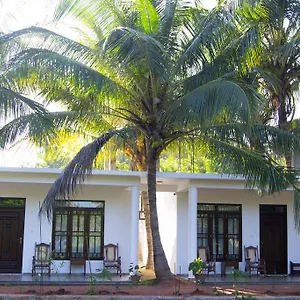 Shady Mango Bed & Breakfast